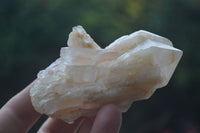 Natural Highly Selected Pineapple Candle Quartz Crystals  x 12 From Madagascar - Toprock Gemstones and Minerals 