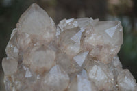 Natural Large White Phantom Smokey Quartz Cluster  x 1 From Luena, Congo - Toprock Gemstones and Minerals 