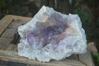 Natural Jacaranda Amethyst Geode Specimen  x 1 From Zambia - Toprock Gemstones and Minerals 