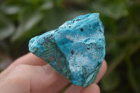 Natural Blue Chrysocolla On Silky Malachite Matrix Specimens  x 6 From Kulukuluku, Congo - Toprock Gemstones and Minerals 