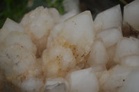 Natural Extra Large Pineapple Quartz Cluster  x 1 From Madagascar - TopRock