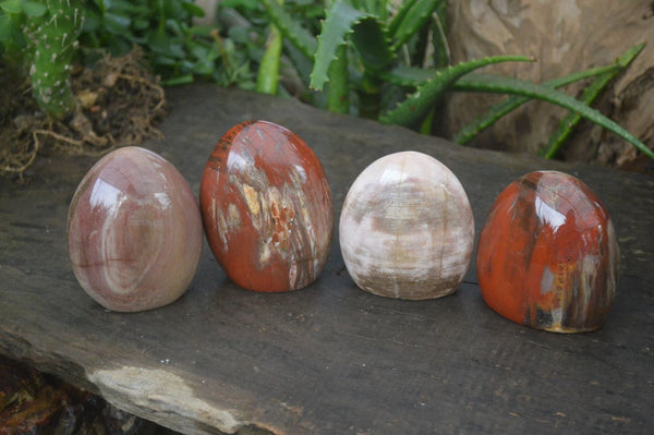 Polished Petrified Wood Standing Free Forms  x 4 From Madagascar - Toprock Gemstones and Minerals 