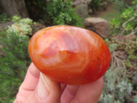 Polished Bright Red/ Orange Medium Sized Carnelian Palm Stones / Gallets - sold per kg - From Madagascar - TopRock