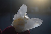 Natural Clear Quartz Crystal Clusters  x 6 From Madagascar