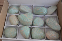 Polished Amazonite Free Forms  x 12 From Zimbabwe