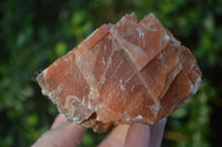 Natural New Sunset Orange Calcite Specimens  x 4 From Spitzkoppe, Namibia - Toprock Gemstones and Minerals 