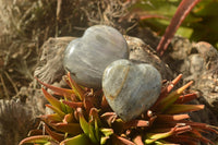 Polished Purple Flash Labradorite Hearts x 6 From Tulear, Madagascar - TopRock