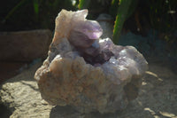 Natural Jacaranda Amethyst Cluster x 1 From Mumbwa, Zambia - TopRock