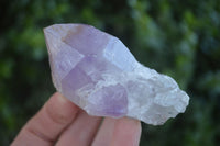 Natural Single Jacaranda Amethyst Crystals  x 12 From Mumbwa, Zambia - Toprock Gemstones and Minerals 