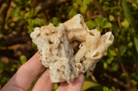 Natural Drusi Quartz Coated Calcite Pseudomorph Specimens  x 6 From Alberts Mountain, Lesotho - TopRock