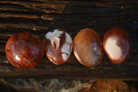 Polished Lovely Mixed Selection Of Palm Stones  x 20 From Madagascar - Toprock Gemstones and Minerals 