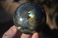 Polished Lovely Labradorite Spheres  x 6 From Tulear, Madagascar