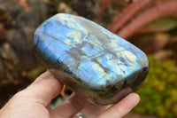 Polished Labradorite Standing Free Forms With Intense Blue & Gold Flash x 3 From Tulear, Madagascar - TopRock