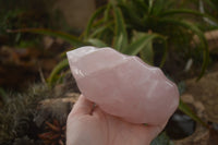 Polished Gemmy Pink Rose Quartz Flames  x 2 From Ambatondrazaka, Madagascar - TopRock