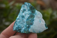 Natural Blue Chrysocolla On Silky Malachite Matrix Specimens  x 6 From Kulukuluku, Congo - Toprock Gemstones and Minerals 