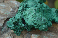 Natural Chatoyant Silky Malachite Specimens  x 2 From Kasompe, Congo - TopRock