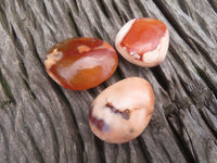 Polished Bright Red/ Orange Medium Sized Carnelian Palm Stones / Gallets - sold per kg - From Madagascar - TopRock