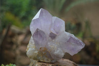 Natural Jacaranda Amethyst Clusters  x 3 From Mumbwa, Zambia - Toprock Gemstones and Minerals 