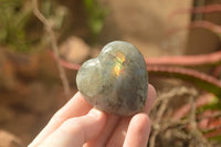 Polished Purple Flash Labradorite Hearts x 6 From Tulear, Madagascar - TopRock