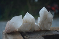 Natural Highly Selected Pineapple Candle Quartz Crystals  x 12 From Madagascar - Toprock Gemstones and Minerals 