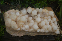 Natural Extra Large Pineapple Quartz Cluster  x 1 From Madagascar - TopRock