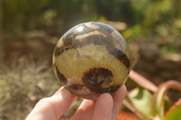 Polished Septarian (Calcite & Aragonite) Spheres  x 5 From Mahajanga, Madagascar - TopRock