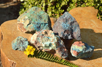 Natural Rough Cobbed Shattuckite Specimens  x 5 From Namibia - TopRock