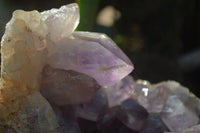 Natural Jacaranda Amethyst Cluster x 1 From Mumbwa, Zambia - TopRock