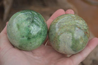 Polished  Green Chrysoprase Spheres  x 3 From Ambatondrazaka, Madagascar