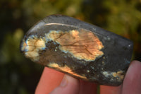 Polished Labradorite Standing Free Forms  x 6 From Tulear, Madagascar