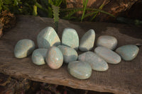 Polished Amazonite Free Forms  x 12 From Zimbabwe