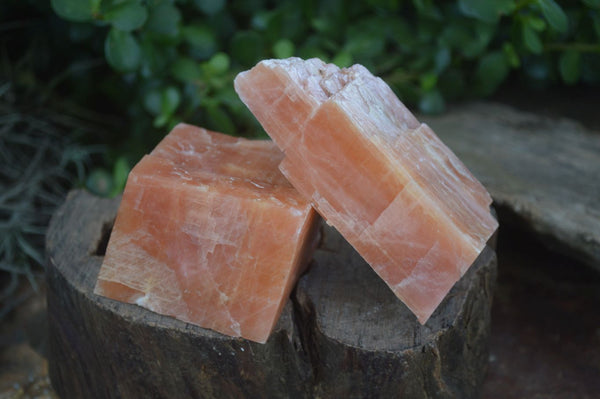 Natural New Sunset Orange Calcite Specimens  x 4 From Spitzkoppe, Namibia - Toprock Gemstones and Minerals 