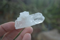 Natural Single Clear Quartz Crystals x 35 From Mpika, Zambia