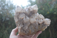 Natural Large White Phantom Smokey Quartz Cluster  x 1 From Luena, Congo - Toprock Gemstones and Minerals 