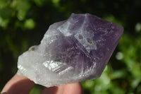 Natural Single Jacaranda Amethyst Crystals x 12 From Zambia