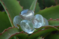 Polished Small Semi Optic Rock Crystal Galet / Palm Stones x 70 From Madagascar