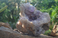 Natural Jacaranda Amethyst Cluster x 1 From Mumbwa, Zambia - TopRock