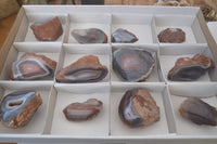 Polished Red Sashe River Agate Nodules x 12 From Sashe River, Zimbabwe