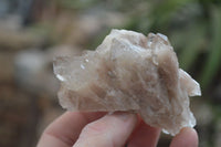 Natural Small White Phantom Smokey Quartz Clusters x 12 From Luena, Congo