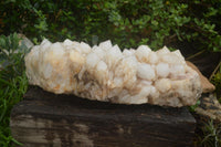 Natural Extra Large Pineapple Quartz Cluster  x 1 From Madagascar - TopRock