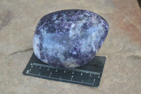 Polished Purple Lepidolite Free Forms  x 3 From Zimbabwe - Toprock Gemstones and Minerals 