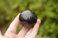 Polished Rare Iolite Water Sapphire Spheres  x 3 From Madagascar - TopRock