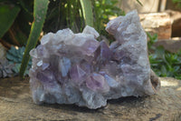 Natural Jacaranda Amethyst Cluster x 1 From Mumbwa, Zambia - TopRock