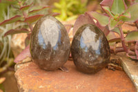 Polished Large Morion Smokey Quartz Eggs x 4 From Madagascar - TopRock