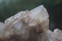 Natural Large White Phantom Smokey Quartz Cluster  x 1 From Luena, Congo - Toprock Gemstones and Minerals 