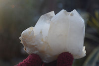 Natural Clear Quartz Crystal Clusters  x 6 From Madagascar