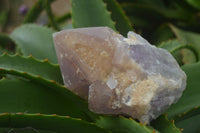 Natural Jacaranda Amethyst Clusters  x 3 From Mumbwa, Zambia - Toprock Gemstones and Minerals 