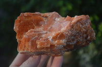 Natural New Sunset Orange Calcite Specimens  x 4 From Spitzkoppe, Namibia - Toprock Gemstones and Minerals 