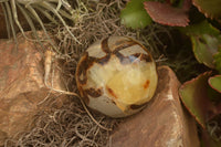 Polished Septarian (Calcite & Aragonite) Spheres  x 5 From Mahajanga, Madagascar - TopRock