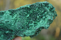 Natural Chatoyant Silky Malachite Specimens  x 2 From Kasompe, Congo - TopRock